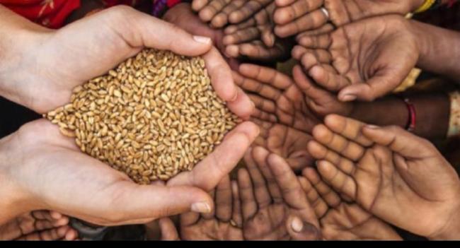 Risk of food shortage if Maha season is a failure